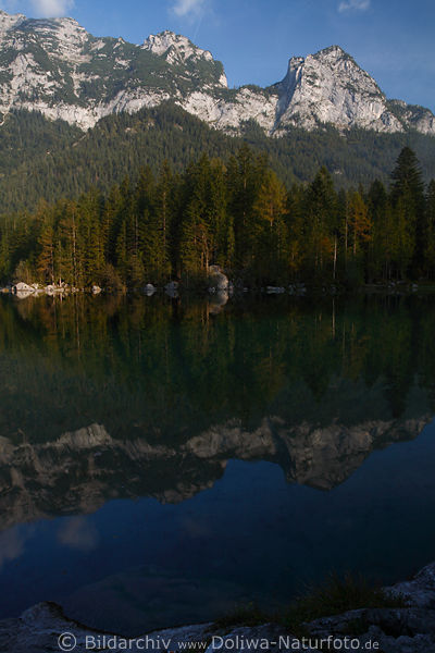 Hintersee Bergfelsen Zauberwald Uferbume Wasser-Spiegelung Naturfoto in Morgensonne