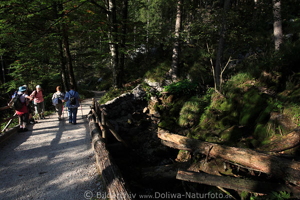 Schluchtbrcke im Waldlichtung Klausbachtals Naturfoto mit Wanderer in Sonnenschein
