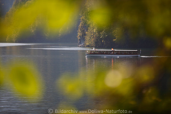 Knigssee Wasser Schiff romantische Stimmung verwischte Bltter Fotodesign