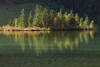 Bauminsel in Königssee Wasser Spiegelung Bäume in Sonnenschein