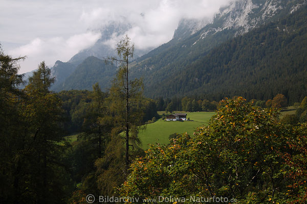 Zirbeneck Bauernhof auf Almwiese malerische Berglandschaft