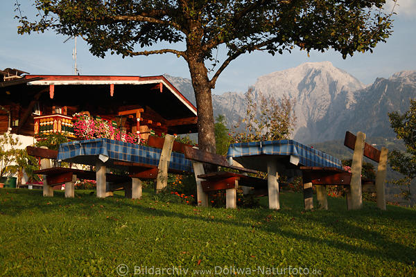Gartentische unter Baum auf Wiese mit Bergblick am schnen Kohlhiasl-Hh Gstehaus