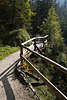 913412_Geländerweg geschlängelter Wanderpfad durch Bergwald-Bäume oberes Klausbachtal