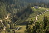 915057_AAlpental gewundene Waldpfade Draufsicht Naturfoto mit Alm Hütte