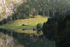 915745_Fischunkel grne Almwiese Foto am Obersee-Ufer in Wlder Berglandschaft mit Berghtte Huschen