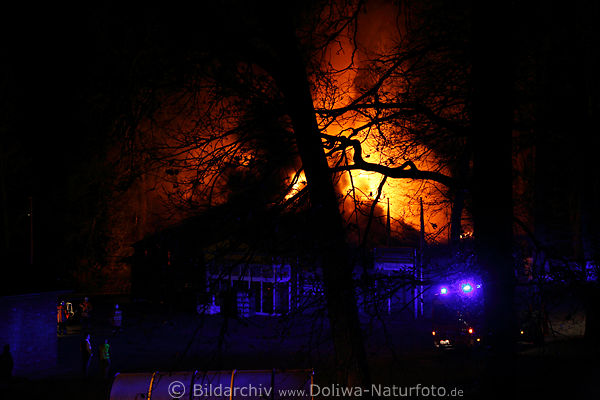 Feuer Brandbild Getrnkemarkt Bispingen Nachtfoto