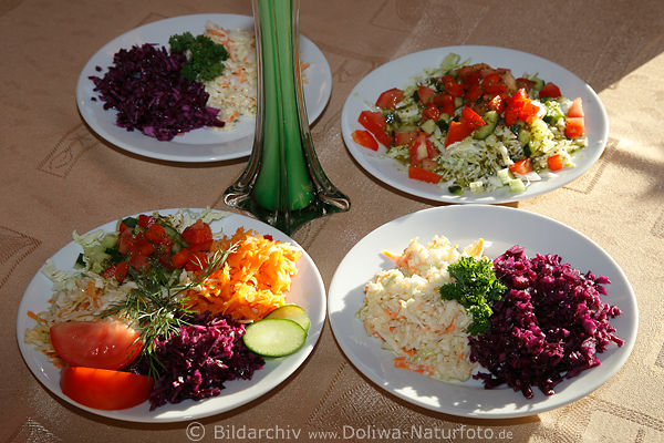 Salatteller vegan vegetarisch Salat-Portionen kalt serviert Essen auf Tischteller