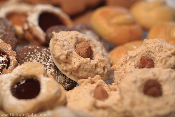 Nussmakronen Adventskekse in Fokus Bild Design Weihnachtsgebck zum Selbstbacken