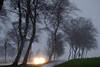 Orkan Kyrill Unwetter Foto Strasse Bäume in Wind starke Böen Autolichter Bild in Regen