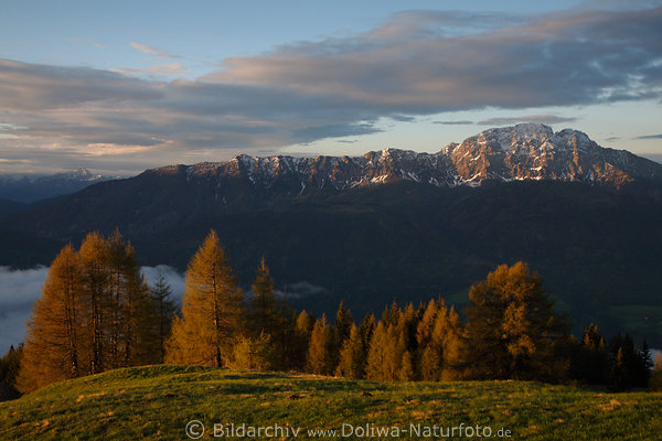Alpenpanorama Morgenstimmung Naturfoto Gipfel Bume Sonnenaufgang Rotlicht Almwiese-Bild
