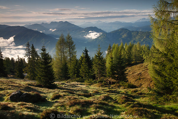Gailtaler Alpenlandschaft Krnten Berge Alm Naturbild Oberdrautal Panorama