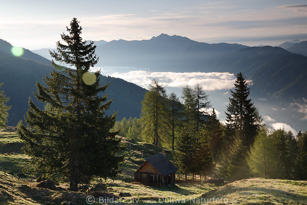 Bergalm Sonnenaufgang Romantik Naturbild Htte Bume Nebelwolken im Oberdrautal Landschaftsfoto