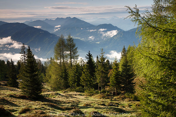 Gailtaler Alpen Natur Morgenstimmung Berglandschaft Kärnten Berge über Oberdrautal Alm Gipfel-Panorama