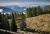 1201017_ Alm-Bäume Naturbild Bergkamm Blick Gailtaler+Julische Alpenpanorama mit Triglav Gipfel in Slowenien