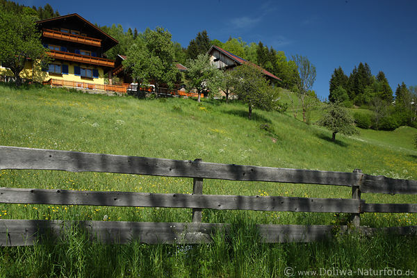 Gnoppnitz Bauernhof Grnwiese Zaun Berghang Naturidylle