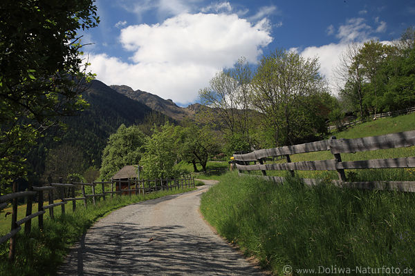 Gnoppnitzer Dorfbergweg in Alpenlandschaft Naturoase