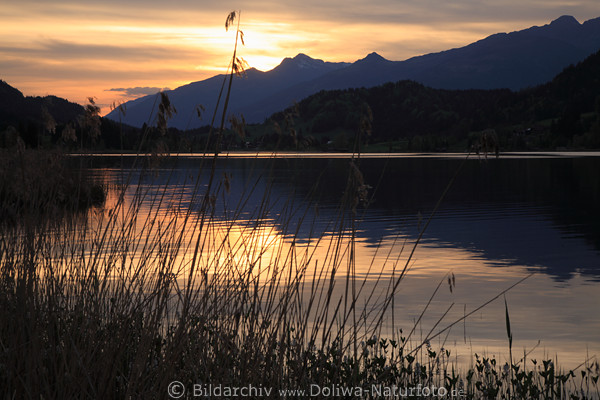 Weissensee Wasserlandschaft Naturbild Schilf Alpenpanorama Sonnenuntergang Romantik-Foto