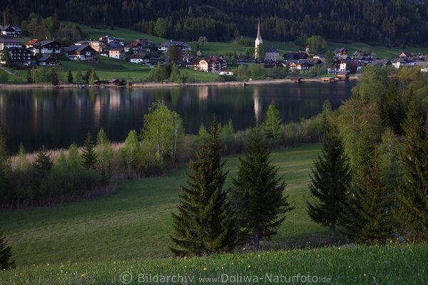 Techendorf Wasserufer Weissensee Naturpark Grnidylle Foto Bergwiese in Abendlicht