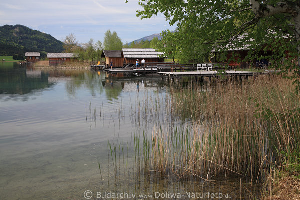 Weissensee Wasserufer Bootshuser Stegs Schilf Naturfoto Techendorf Panoramablick