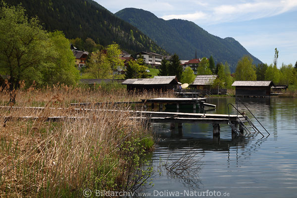 Weissensee Wasser Stegs Schilf Uferlandschaft Naturfoto Techendorf Bootshuser in Bild