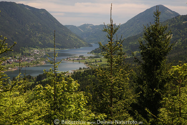 Weissensee grner Wald Frhling Wasserpanorama