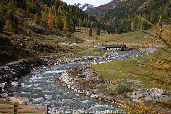 Bachschlinge Schwarzach Schleife Flusswindung in Alpen Oberhauser Zirmwald