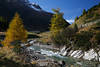 Naturfoto Bergbach Schwarzach Lrchen Herbstfarben Alpenlandschaft vor Seebachalm
