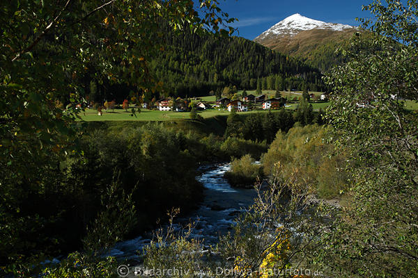 Defereggental Naturbild Herbst am Bach unterm Berg