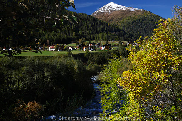 Freistritz Natur am Bach Schwarzach Herbst Berglandschaft Defereggental