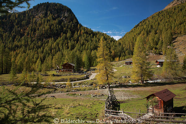 Patscher-Alm Berghtten Naturidyll in Lrchenwlder