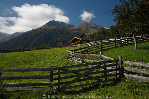 Obermauern Bergdorfwiese Zune Gipfelblick Naturfoto Wanderparadies Virgental