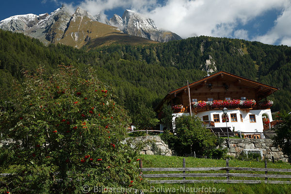 Gasthaus Obermauern Bergidyll unter Alpengipfel schroffe Felsen Urlaub-Zimmer in Naturfoto