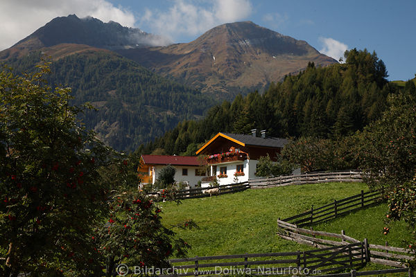 Obermauern Bergdorfidylle Naturbild Huser mit Bergblick Grnwiese Zune in Virgental