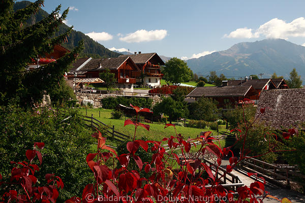 Obermauern buntes Bergdorf Herbstbild Grnwiesen inmitten Bauernhfe Pension Huser