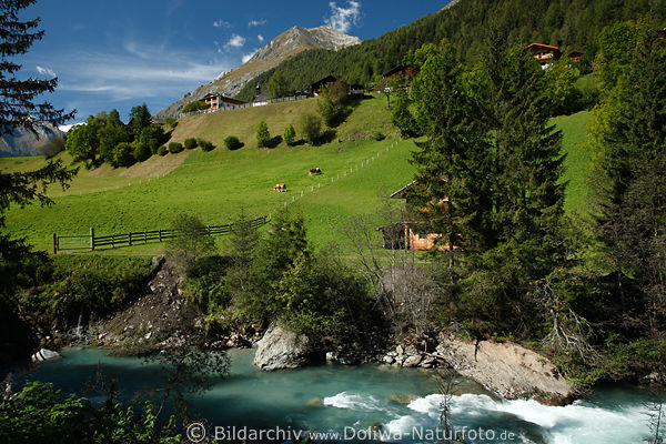 Prgraten am Grovenediger Fluss Isel Berg Grnwiesen Landschaft wie gemalen Naturfoto Virgentals