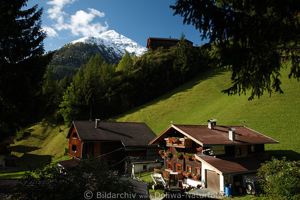 Hinterbichl Holzhuser-Paar am saftigen Alm im Bergland Iseltals mit Blick auf Toinigspitze