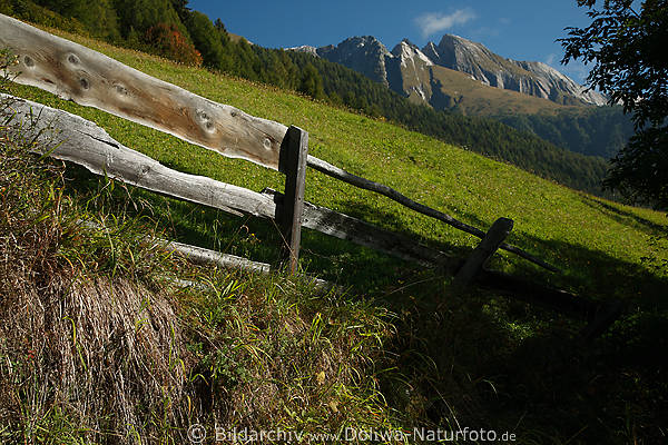 Virgental grne Almwiese Zaun mit Bergblick Naturfoto schne Wanderung im Baumschatten