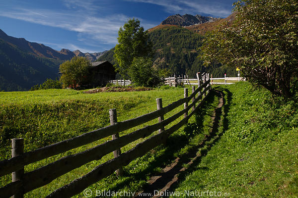 Virgental Naturfoto Alpenlandschaft Grünwiese-Zaun Almweg Wanderurlaub Österreich