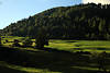 Virgental Grünwiesen Bergwald Naturfoto bei Obermauern Grünoase Osttirols saftiger Bergland