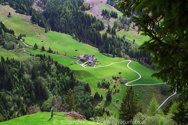 Raurisertal von oben kurvenreiche Strae Bauernhof in Frhlingsbild mit Gasthof Hausgruppe