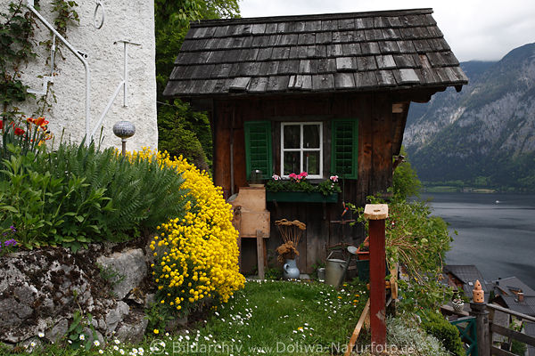 Hallstatt uriges Kasten-Huschen Berghang Terrasse Blmchen Seeblick