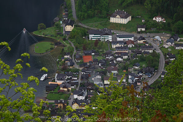 Hallstatt Hausdcher von oben See-Uferstrasse Schiffe Hafen