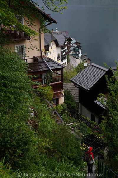 Hallstatt dichte Terrassenhuser Dcher am Berghang Wanderpfad bis Wasser