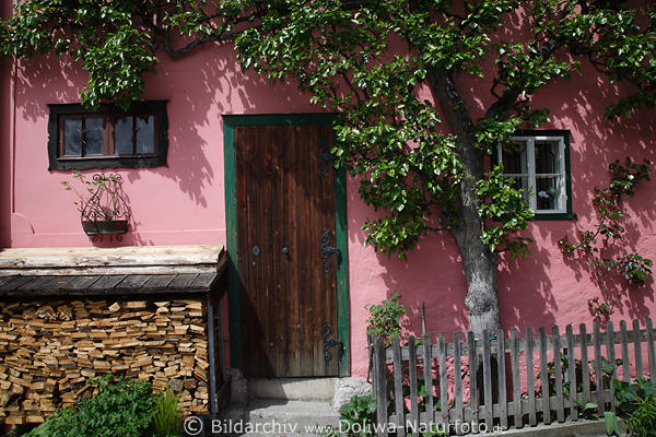 Hallstatt urig violette Hauswand Grnbaum dicht wachsen an der Tr