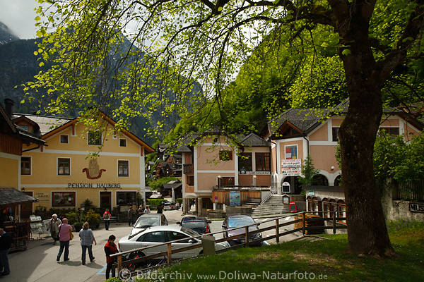 Hallstatt Marktplatz Besucher Pension Hallberg Seestrasse am Museumsgebude
