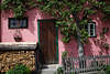 105686_ Hallstatt Bild urig schickes Haus violette Wand Grünbaum dicht wachsen an Tür
