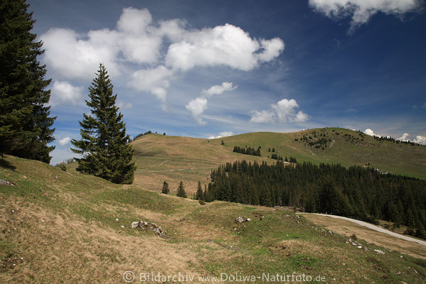 Windkogel ber Postalm Bergplateau Landschaft unter Wolken am Blauhimmel in Sonne