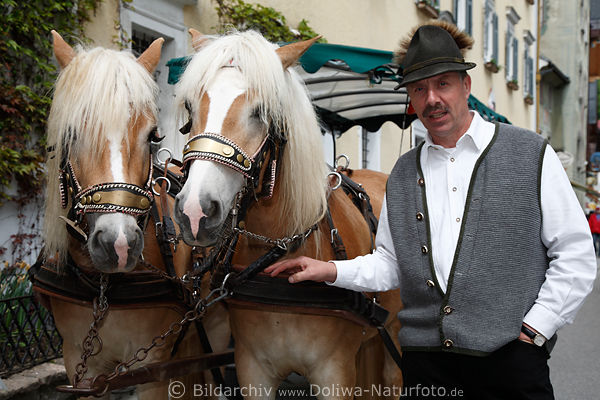 Haflinger-Pferdekutsche der Strobl Kutschfahrten durch St.Wolfgang entlang Seestrasse vom Kirchenplatz
