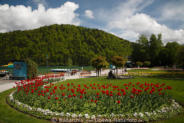 Strobl schner Seeufer Blumenrabatte Foto am Wolfgangsee unter Brglstein in Salzkammergut