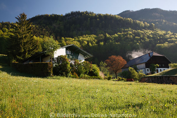 Bauernhof Husle Dmpfe Wohn Landidylle Morgenstimmung am Berghang